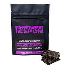 funguy dark chocolate crunch