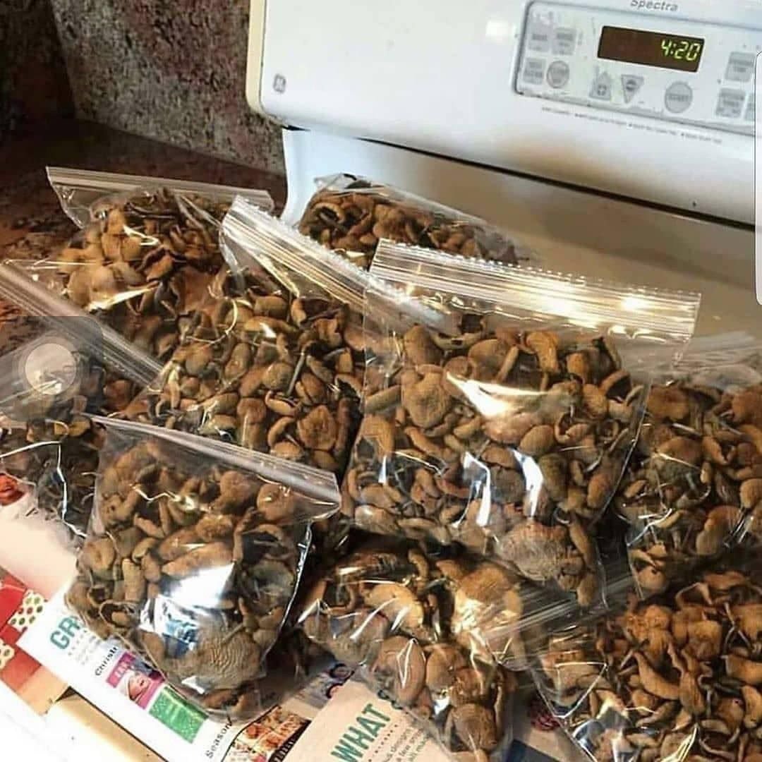 Consume Dried Mushrooms 4 Best Ways UK Magic Shrooms