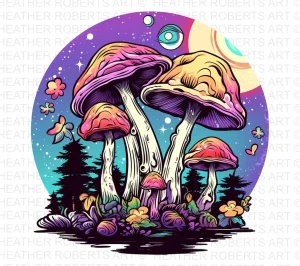 cover img